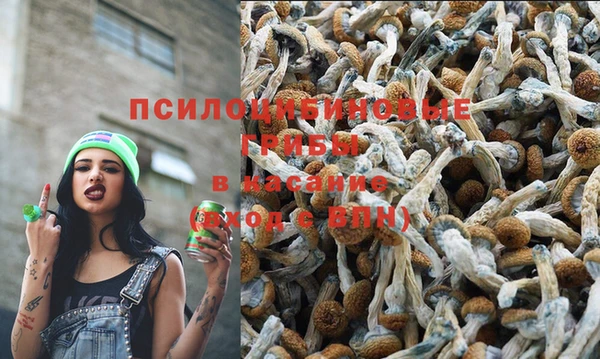 бутират Магас