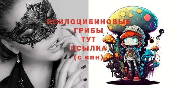 сатива Магадан