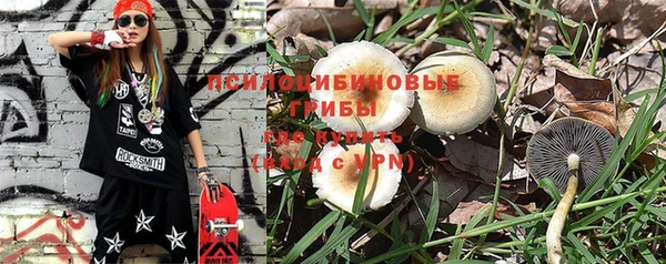 дурь Мегион