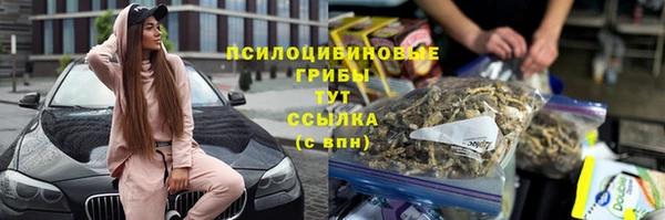 дурь Мегион