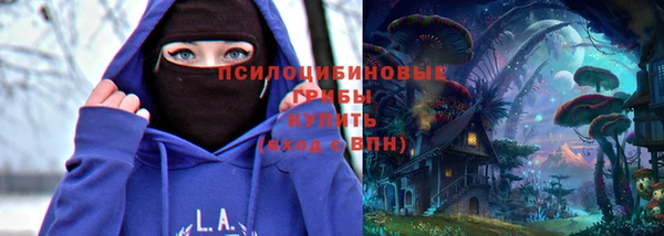 дурь Мегион